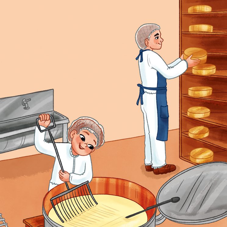 Illustration: Theo hilft Marek bei der Käseherstellung und rührt mit einer Art großem Rechen in einem Topf mit einer hellen Flüssigkeit. Marek räumt im Hintergrund Käselaibe ins Regal.