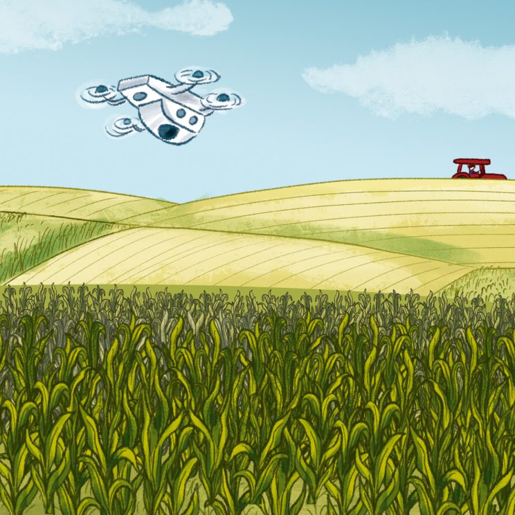 Drohne fliegt über ein Feld.